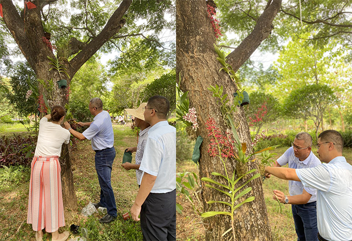 未标题-1.jpg 未标题-1.jpg